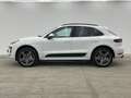 Porsche Macan S PASM*PANO*PDLS*KAM*BiXen*BOSE*KAM*PDK* Blanco - thumbnail 9