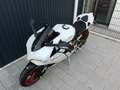 Ducati 899 Panigale Blanco - thumbnail 2