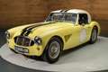 Austin Healey Coupe Jaune - thumbnail 8