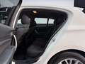 BMW 116 116d Blanco - thumbnail 33