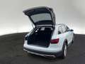 Audi A4 allroad A4 allroad 40 TDI quattro S tronic Weiß - thumbnail 10