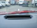 Citroen Roşu - thumbnail 9