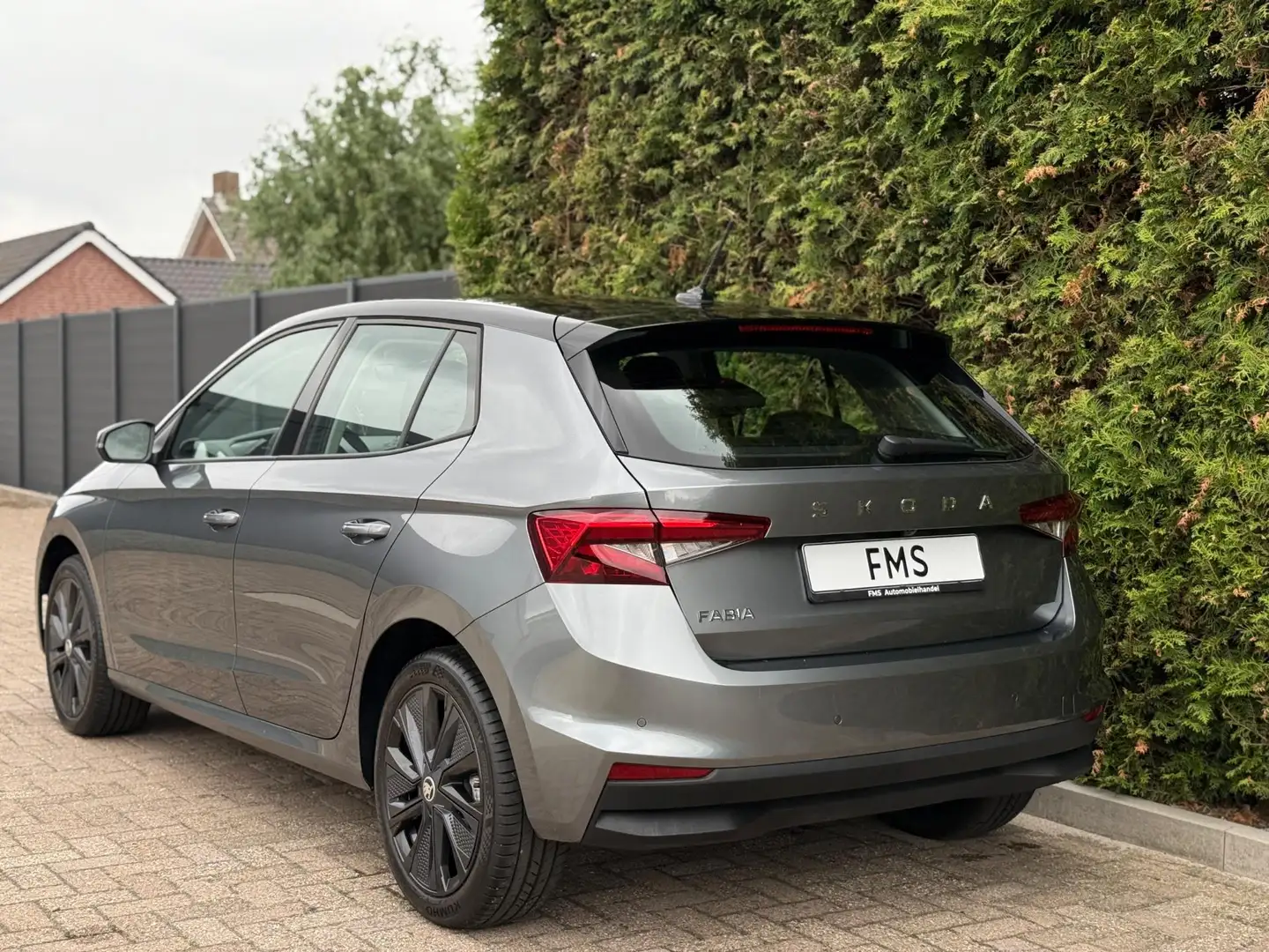 Skoda Fabia 1.0 TSI Selection CarPlay Camera Grau - 2
