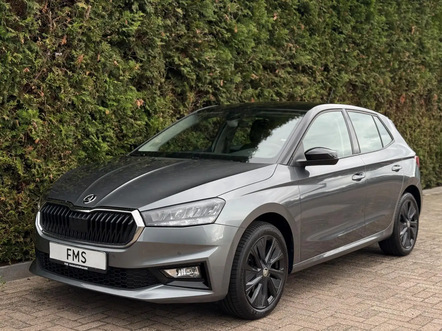 Skoda Fabia 1.0 TSI Selection CarPlay Camera Grau - 1