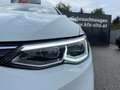 Volkswagen Golf Variant 1,5 TSI Life | VOLL-LED Bianco - thumbnail 36