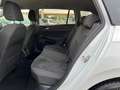 Volkswagen Golf Variant 1,5 TSI Life | VOLL-LED Bianco - thumbnail 14
