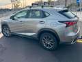 Lexus NX 300 2.5 300h Business Navigation 2WD Beige - thumbnail 6