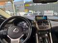 Lexus NX 300 2.5 300h Business Navigation 2WD Beige - thumbnail 9