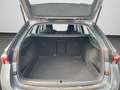 Skoda Octavia Combi 1.5 TSI Style Sunset, RFK, SHZ Grau - thumbnail 15