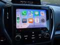 Subaru XV XV 2.0i e-Boxer MHEV Lineartronic Style Blu/Azzurro - thumbnail 21