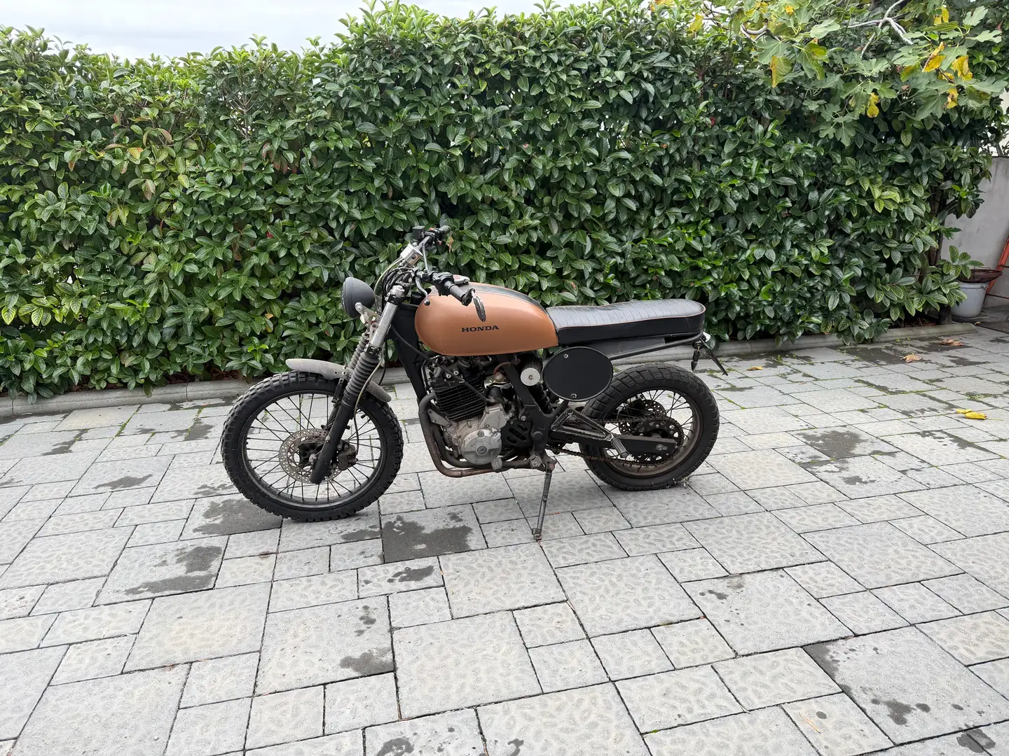 Honda NX 650 Custom / CAFE RACER Marrón - 2