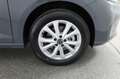 Volkswagen Caddy Flexible Maxi TDI Grau - thumbnail 31