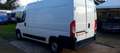 Citroen Jumper 2.2 L2 H2 KM 85000 NO MAIL Bianco - thumbnail 8