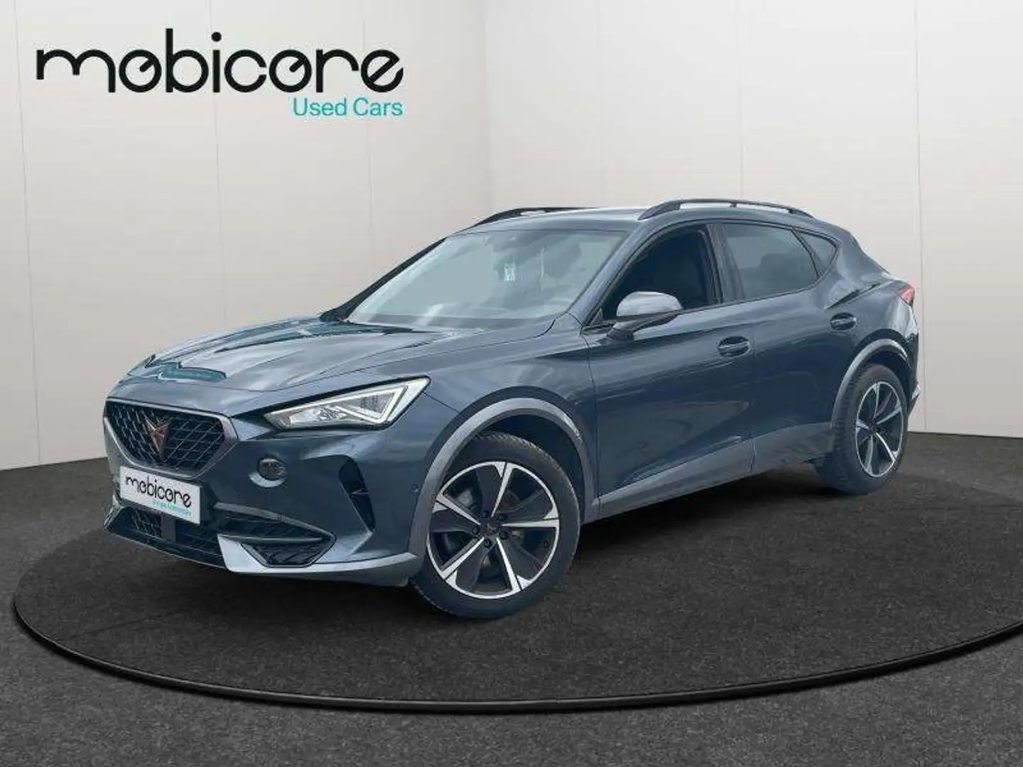 CUPRA Formentor . Grijs - 1