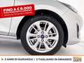 Ford Fiesta 5p 1.0 ecoboost h titanium 125cv Grijs - thumbnail 14