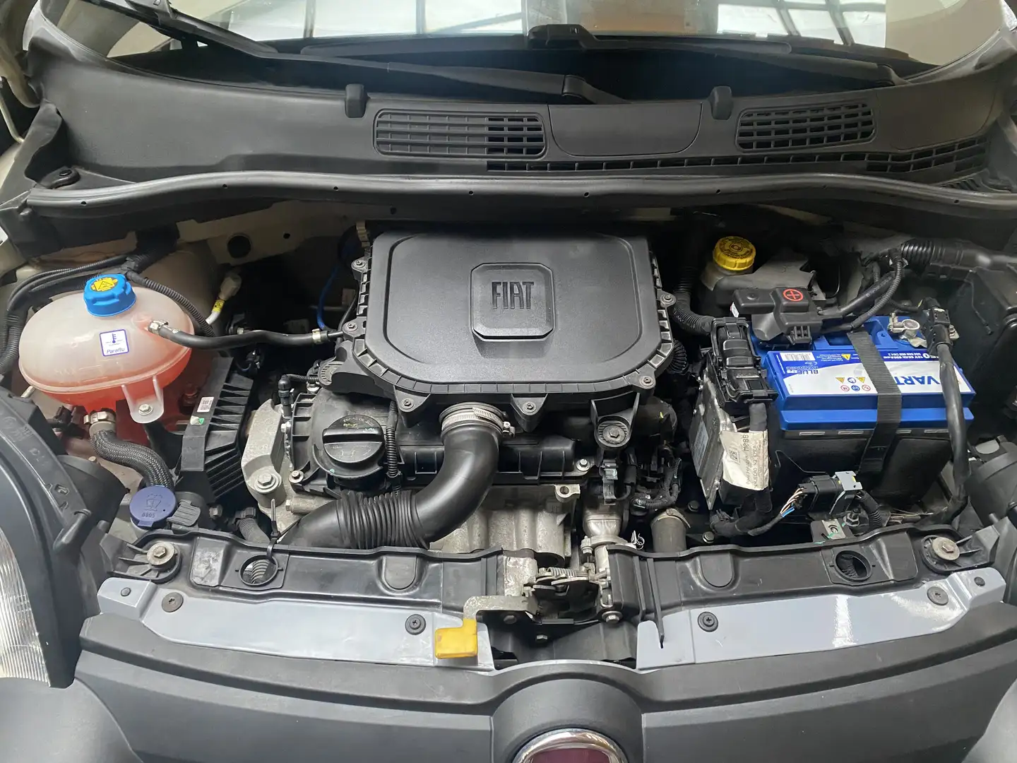 Fiat Panda 1.0 hybrid City Cross s&s 70cv - 2