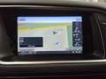 Audi Q5 3.0 TDI Qu. Xenon+ Navi ACC Shz Schwarz - thumbnail 7