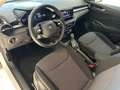 Skoda Fabia Drive 1.0 TSI Kamera SHZ Freisprech LED Blanc - thumbnail 10