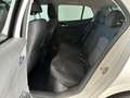 Skoda Fabia Drive 1.0 TSI Kamera SHZ Freisprech LED Blanc - thumbnail 12