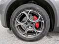 Alfa Romeo Sprint Stelvio  2.0 16V 200 AT8 Q4 MAXTON Grau - thumbnail 27