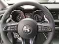 Alfa Romeo Stelvio Sprint 2.0 16V 200 AT8 Q4 MAXTON Grau - thumbnail 10
