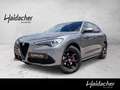 Alfa Romeo Sprint Stelvio  2.0 16V 200 AT8 Q4 MAXTON Grau - thumbnail 1
