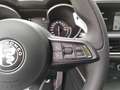 Alfa Romeo Sprint Stelvio  2.0 16V 200 AT8 Q4 MAXTON Grau - thumbnail 18