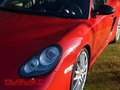 Porsche Cayman 987 R Rood - thumbnail 13