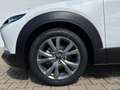 Mazda CX-30 2.5L e-SKYACTIV G 140ps 6MT FWD Centre-Line Weiß - thumbnail 15