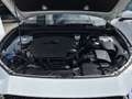 Mazda CX-30 2.5L e-SKYACTIV G 140ps 6MT FWD Centre-Line Weiß - thumbnail 14