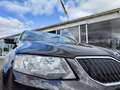 Skoda Octavia Combi 1.6 TDI Greenline NAVI Czarny - thumbnail 6