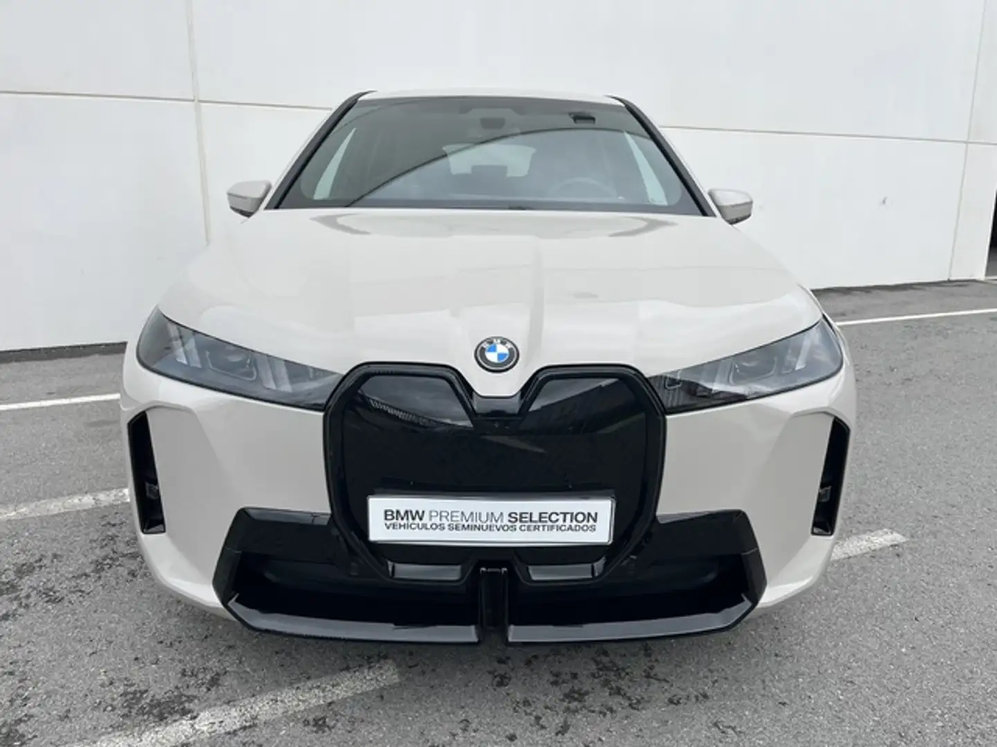 BMW iX xDrive 45 Gris - 2