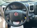 Fiat Ducato 2.3 MJT 120CV Furgone ISOTERMICO PEDANA Weiß - thumbnail 16