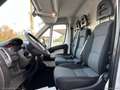 Fiat Ducato 2.3 MJT 120CV Furgone ISOTERMICO PEDANA Weiß - thumbnail 9