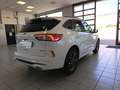 Ford Kuga 2.5 FHEV 190cv 2wd cvt ST-LINE Bianco - thumbnail 14