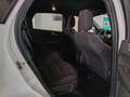 Ford Kuga 2.5 FHEV 190cv 2wd cvt ST-LINE Bianco - thumbnail 12