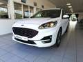 Ford Kuga 2.5 FHEV 190cv 2wd cvt ST-LINE Bianco - thumbnail 1