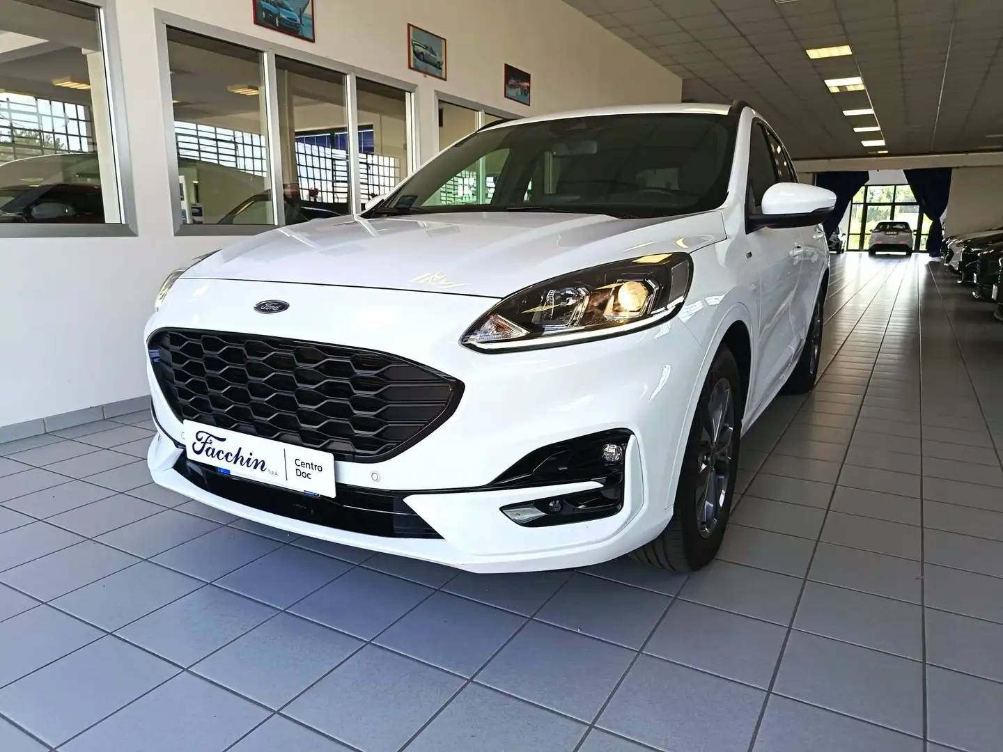 Ford Kuga 2.5 FHEV 190cv 2wd cvt ST-LINE Bianco - 1