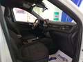 Ford Kuga 2.5 FHEV 190cv 2wd cvt ST-LINE Bianco - thumbnail 13