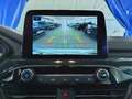 Ford Kuga 2.5 FHEV 190cv 2wd cvt ST-LINE Bianco - thumbnail 10