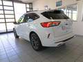 Ford Kuga 2.5 FHEV 190cv 2wd cvt ST-LINE Bianco - thumbnail 6