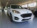 Ford Kuga 2.5 FHEV 190cv 2wd cvt ST-LINE Bianco - thumbnail 7