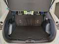 Ford Kuga 2.5 FHEV 190cv 2wd cvt ST-LINE Bianco - thumbnail 5