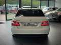 Mercedes-Benz E 350 AMG *Avantgarde*Kamera*Memory*Schiebedach* Weiß - thumbnail 9