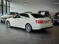 Mercedes-Benz E 350 AMG *Avantgarde*Kamera*Memory*Schiebedach* Weiß - thumbnail 2