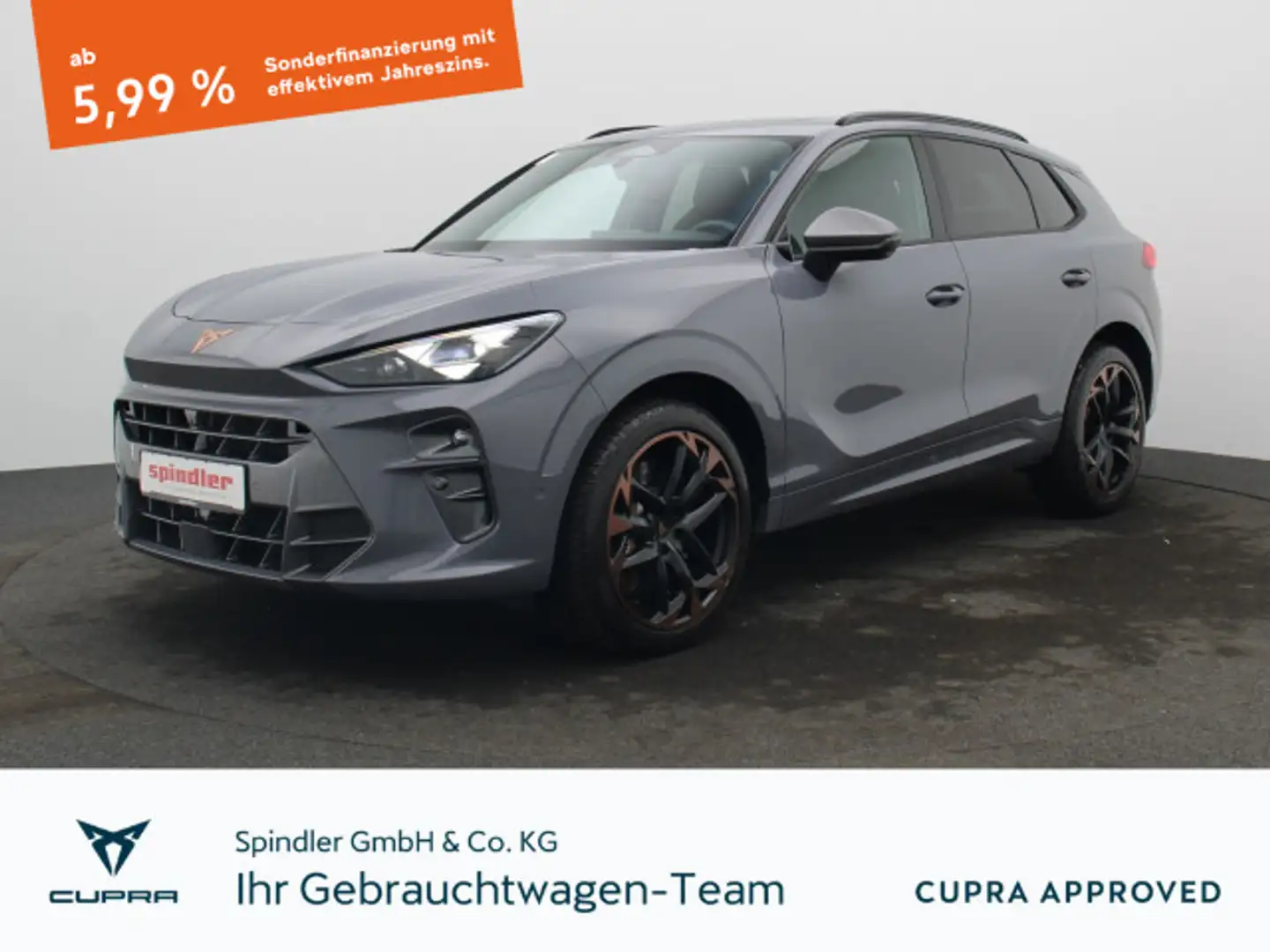 CUPRA Terramar VZ 2.0 TSI 4Drive DSG / Pano, Matrix Grau - 1