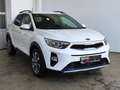 Kia Stonic 1.4 Vision ADA Klimaaut.|Temp.|Navi|RFK Weiß - thumbnail 6