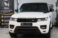 Land Rover Range Rover Sport RANGE ROVER SPORT HSE *PANO*LEDER*MERIDAN*RKAM* Blanc - thumbnail 1