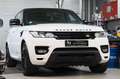 Land Rover Range Rover Sport RANGE ROVER SPORT HSE *PANO*LEDER*MERIDAN*RKAM* Blanc - thumbnail 4