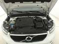 Volvo XC40 D3 Business Plus Geartronic AWD 2.0 Diesel 150CV Bianco - thumbnail 13